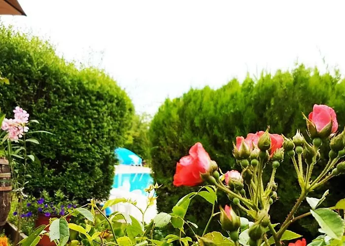 Mandel * Палознак